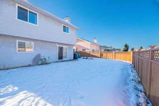 Photo 48: 76 Applewood Way SE in Calgary: Applewood Park Detached for sale : MLS®# A2019732