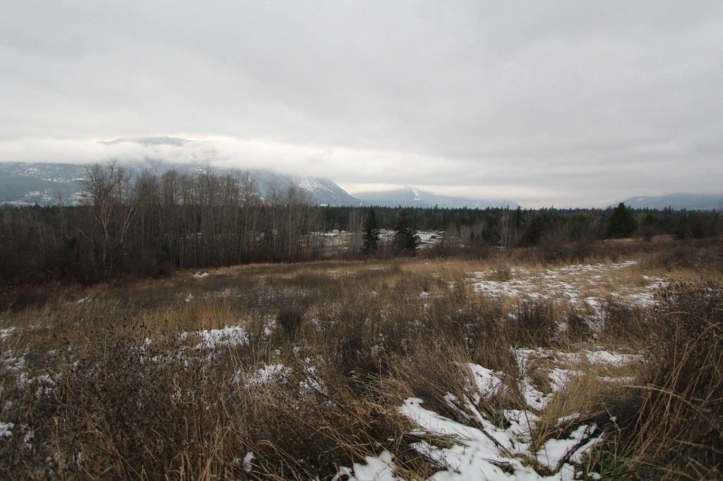 Main Photo: 37 2481 Squilax Anglemont Road in Lee Creek: North Shuswap Land Only for sale (Shuswap) 