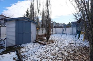 Photo 40: 21 Thornleigh Way SE: Airdrie Detached for sale : MLS®# A2090830