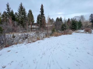 Photo 5: Lot 14 CARNOUSTIE PLACE in Fairmont Hot Springs: Vacant Land for sale : MLS®# 2460801