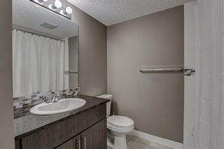 Photo 43: 2305 1317 27 Street SE in Calgary: Albert Park/Radisson Heights Apartment for sale : MLS®# A1060518