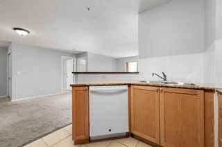 Photo 17: 210 428 Chaparral Ravine View SE in Calgary: Chaparral Apartment for sale : MLS®# A2114017