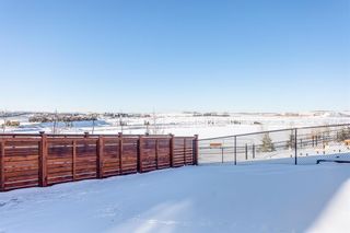 Photo 43: 153 Lucas Way NW in Calgary: Livingston Detached for sale : MLS®# A2011575