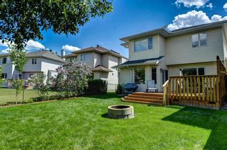 Photo 40: 251 Mt Selkirk Close SE in Calgary: McKenzie Lake Detached for sale : MLS®# A2126719