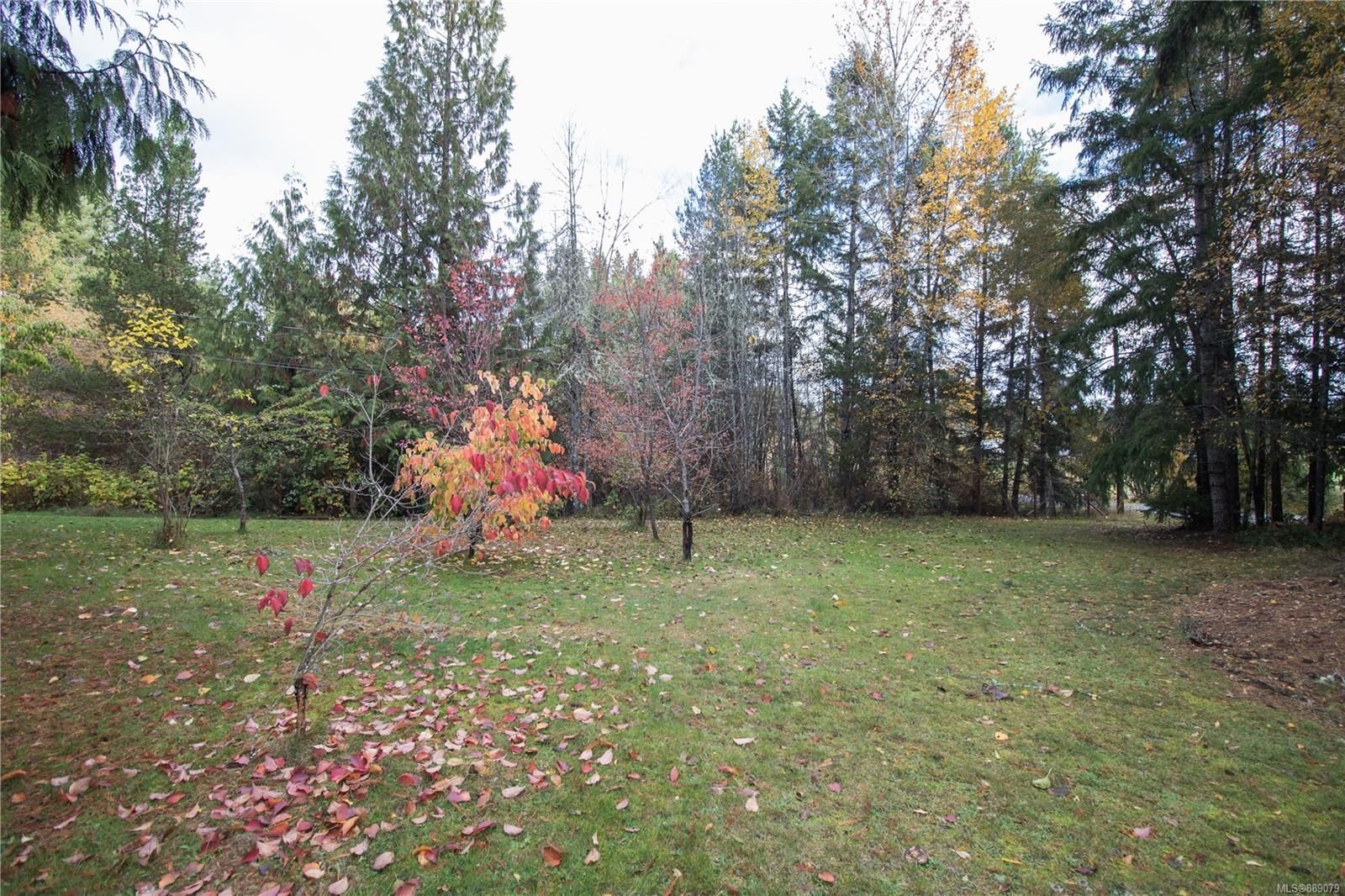 Photo 16: Photos: 1367 Station Rd in Coombs: PQ Errington/Coombs/Hilliers House for sale (Parksville/Qualicum)  : MLS®# 889079