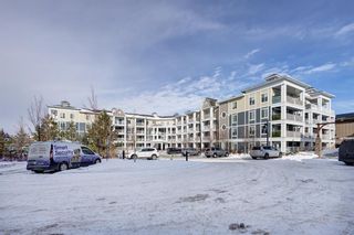 Photo 28: 204 130 Auburn Meadows View SE in Calgary: Auburn Bay Apartment for sale : MLS®# A2011626