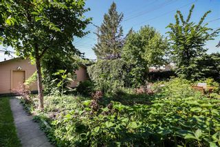 Photo 43: 348 Redwood Avenue in Winnipeg: North End Residential for sale (4A)  : MLS®# 202221014