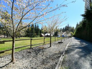 Photo 53: 1505 Croation Rd in CAMPBELL RIVER: CR Campbell River West House for sale (Campbell River)  : MLS®# 831478