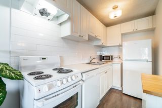 Photo 5: 407 331 KNOX Street in New Westminster: Sapperton Condo for sale in "WESTMOUNT ARMS" : MLS®# R2698350