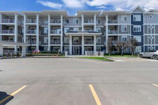Photo 25: 108 100 Auburn Meadows Common SE in Calgary: Auburn Bay Apartment for sale : MLS®# A2061446