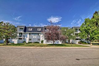 Photo 36: 1208 3115 51 Street SW in Calgary: Glenbrook Apartment for sale : MLS®# A2068400