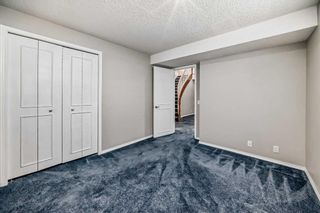 Photo 29: 1533 19 Avenue NW in Calgary: Capitol Hill Detached for sale : MLS®# A2114696