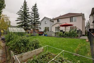 Photo 31: 100 Mt Selkirk Close SE in Calgary: McKenzie Lake Detached for sale : MLS®# A1063625