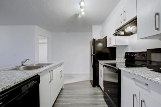 Photo 20: 1516 4641 128 Avenue NE in Calgary: Skyview Ranch Apartment for sale : MLS®# A1192519