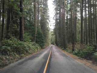 Photo 7: 308 SASAMAT LANE in North Vancouver: Woodlands-Sunshine-Cascade Land for sale : MLS®# R2798022