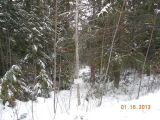 Photo 5: 84 Anglemont Way in Anglemont: North Shuswap Land Only for sale (Shuswap)  : MLS®# 10058557