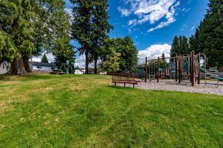 Photo 30: 3441 JUNIPER Crescent in Abbotsford: Central Abbotsford House for sale : MLS®# R2474033