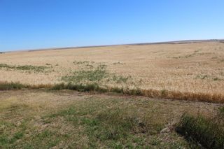 Photo 3: 534 Highway: Rural Vulcan County Residential Land for sale : MLS®# A1256669