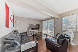 Photo 3: 1709 50 Street SE in Calgary: Forest Lawn Semi Detached (Half Duplex) for sale : MLS®# A2115014