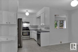 Photo 15: 8623 29 Avenue in Edmonton: Zone 29 House for sale : MLS®# E4394633