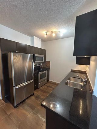 Photo 5: 507 315 3 Street SE in Calgary: Downtown East Village Apartment for sale : MLS®# A2028941