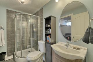 Photo 30: 5 CRANWELL Crescent SE in Calgary: Cranston Detached for sale : MLS®# A1018519