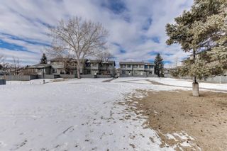 Photo 30: 44 12 Templewood Drive NE in Calgary: Temple Row/Townhouse for sale : MLS®# A1192583