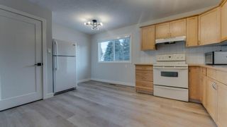 Photo 14: 215 Tache Avenue NW in Calgary: Thorncliffe Detached for sale : MLS®# A2021905