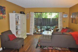 Photo 3: 14 365 GINGER Drive in New Westminster: Fraserview NW Townhouse for sale : MLS®# R2314550
