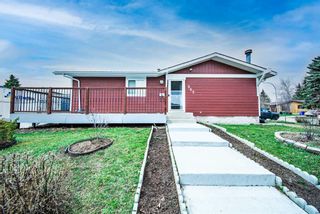 Main Photo: 347 Abadan Place NE in Calgary: Abbeydale Detached for sale : MLS®# A2126341