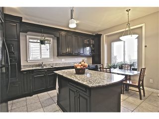 Photo 5: 1575 W 68TH AV in Vancouver: S.W. Marine House for sale (Vancouver West)  : MLS®# V1009341