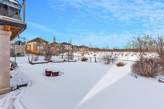 Photo 40: 12030 VALLEY RIDGE Drive NW in Calgary: Valley Ridge Detached for sale : MLS®# A1173791