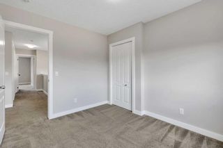 Photo 37: 427 Cornerstone Avenue NE in Calgary: Cornerstone Semi Detached (Half Duplex) for sale : MLS®# A2132213
