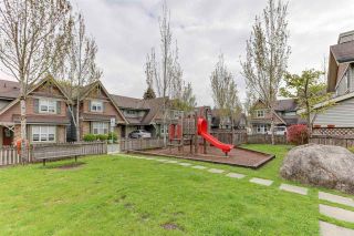 Photo 26: 33 22977 116 Avenue in Maple Ridge: East Central Townhouse for sale in "Duet" : MLS®# R2572919