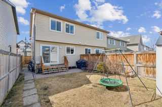 Photo 36: 253 Elgin Meadows Park SE in Calgary: McKenzie Towne Semi Detached (Half Duplex) for sale : MLS®# A2121804
