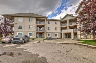 Photo 1: 205 4000 Citadel Meadow Point NW in Calgary: Citadel Apartment for sale : MLS®# A2079242