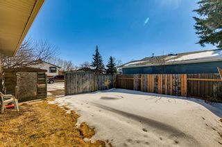 Photo 41: 39 Summerfield Close SW: Airdrie Detached for sale : MLS®# A2034288