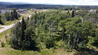 Photo 5: 162057 258 Street W: Rural Foothills County Residential Land for sale : MLS®# A2060550