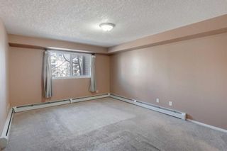 Photo 17: 3206 4975 130 Avenue SE in Calgary: McKenzie Towne Apartment for sale : MLS®# A2103386
