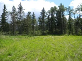 Photo 1: 115 Meadow Ponds Drive: Rural Clearwater County Land for sale : MLS®# A1020971