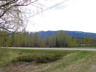 Photo 8: 2880 MOUNTAIN VIEW Road in McBride: McBride - Town Land for sale (Robson Valley)  : MLS®# R2879829