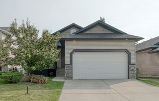 Main Photo: 213 Westcreek Springs: Chestermere Detached for sale : MLS®# A2000755