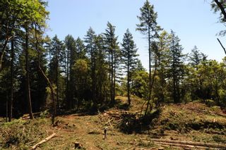 Photo 9: Lot 5 3510 Wishart Rd in Colwood: Co Wishart South Land for sale : MLS®# 871112