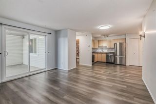 Photo 12: 417 1717 60 Street SE in Calgary: Red Carpet Apartment for sale : MLS®# A2053930