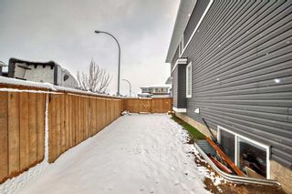 Photo 36: 93 Red Sky Road NE in Calgary: Redstone Detached for sale : MLS®# A2123684