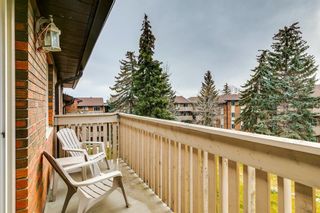 Photo 17: 333 11620 Elbow Drive SW in Calgary: Canyon Meadows Apartment for sale : MLS®# A2091996