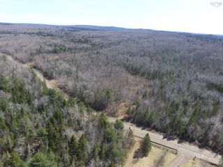Photo 11: Lot Black River Road in Black River: Kings County Vacant Land for sale (Annapolis Valley)  : MLS®# 202406595