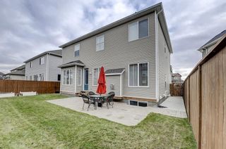Photo 41: 132 WATERLILY Cove: Chestermere Detached for sale : MLS®# C4306111