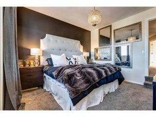Photo 21: 41 ROYAL BIRCH Crescent NW in Calgary: Royal Oak House for sale : MLS®# C4041001