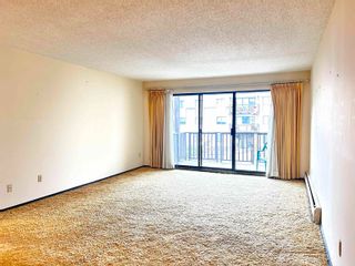 Photo 11: 223 12170 222 Street in Maple Ridge: West Central Condo for sale in "Wildwood Terrace" : MLS®# R2890519